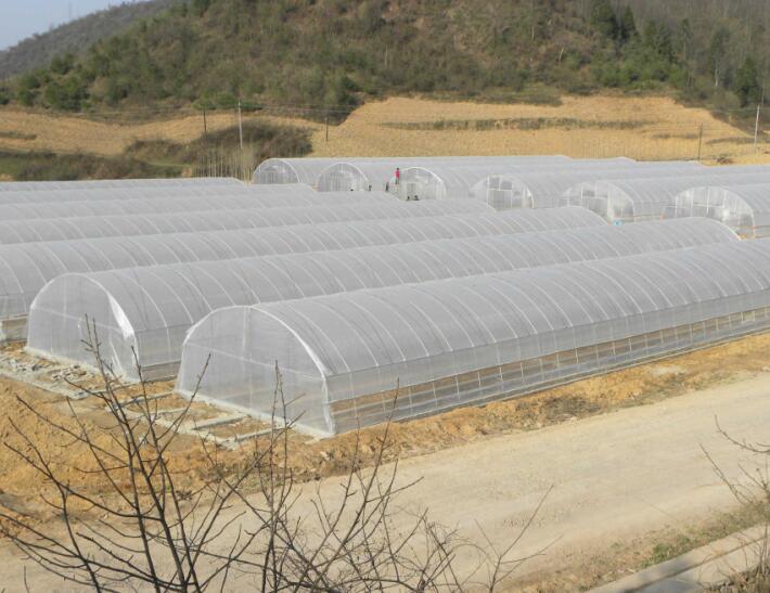 聯(lián)系建川|四川省簡(jiǎn)陽市建川實(shí)業(yè)有限公司